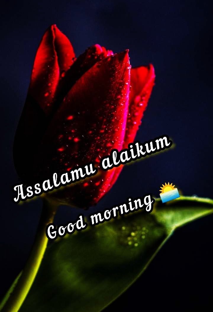 Dua Beautiful Assalamu Alaikum Images