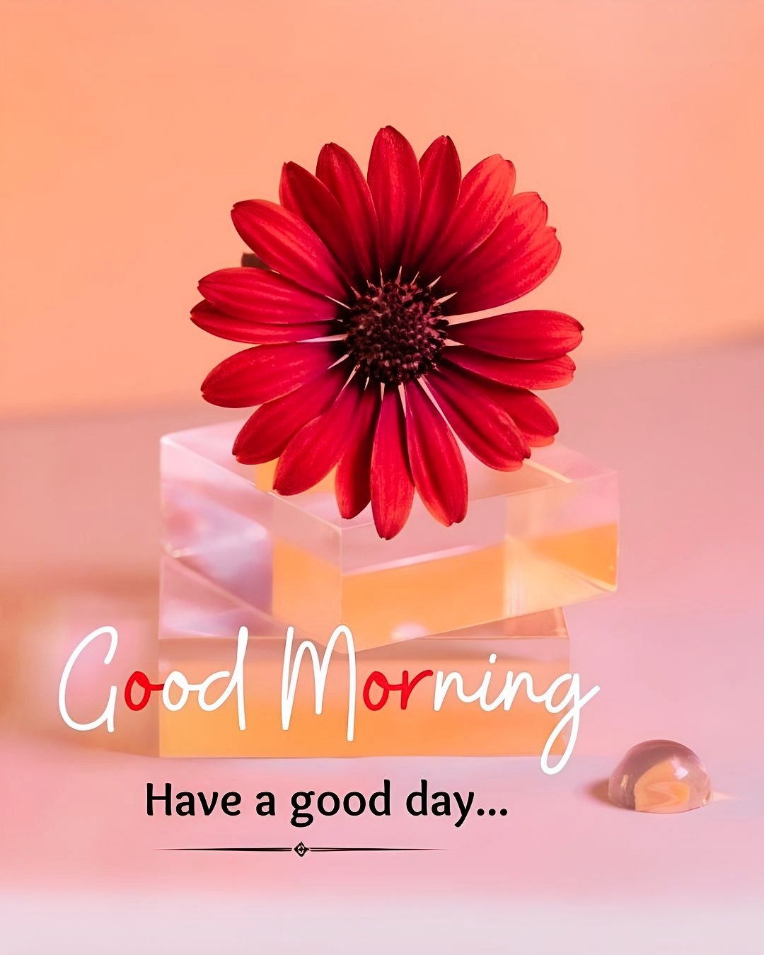 New Good Morning Pictures