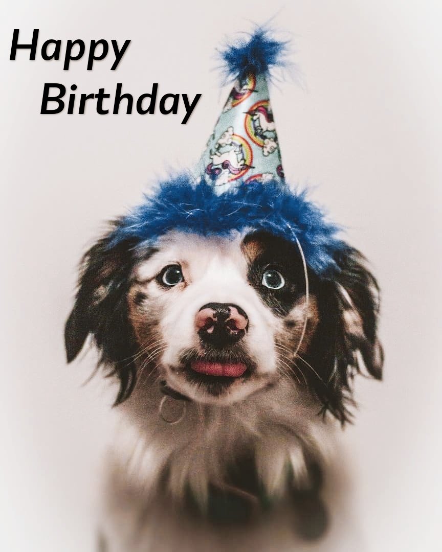 Funny Happy Birthday Images For Men