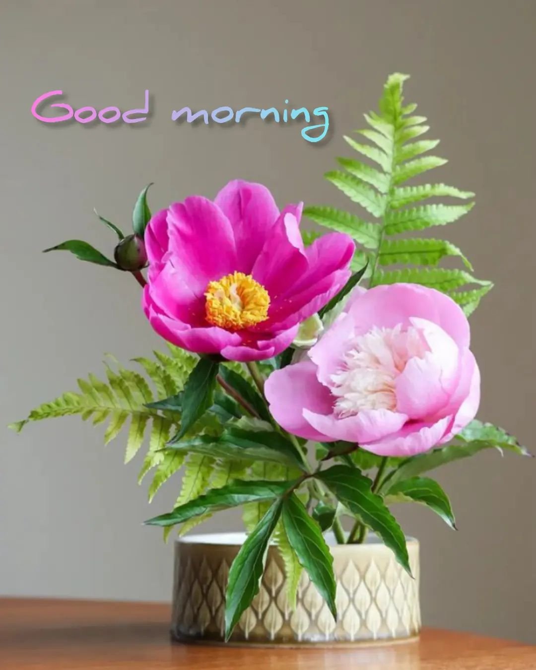New Beautiful Good Morning Images