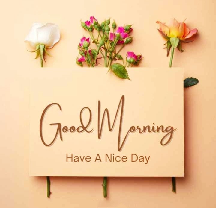 Beautiful Good Morning Images For Whatsapp HD