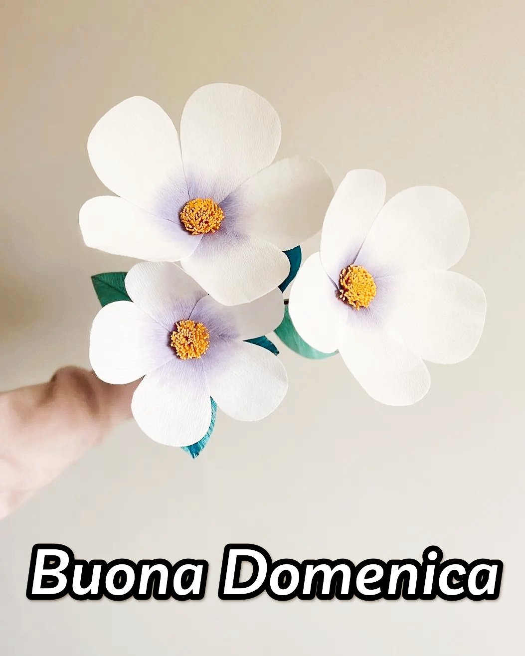 Buona Domenica Immagini Nuove Gratis