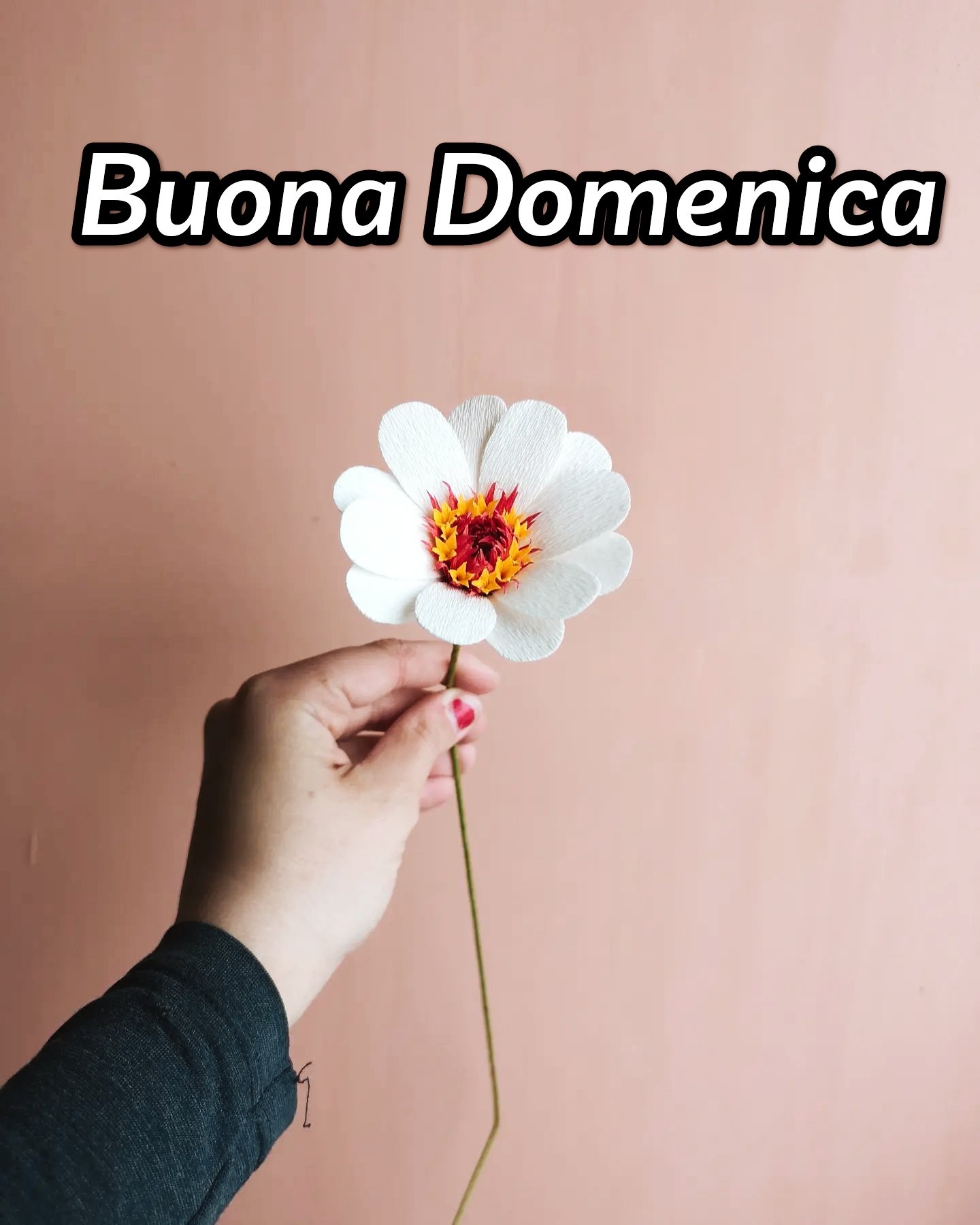 Buona Domenica Immagini Nuove