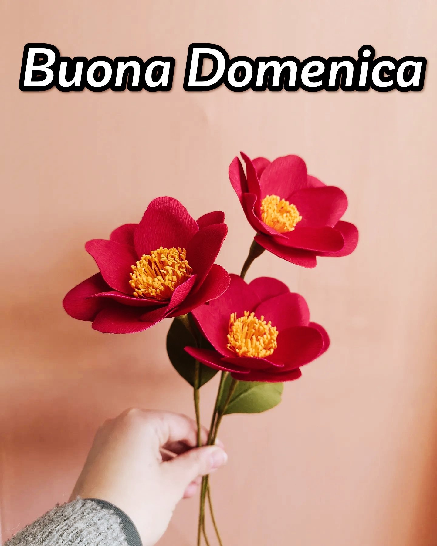 Buona Domenica Immagini