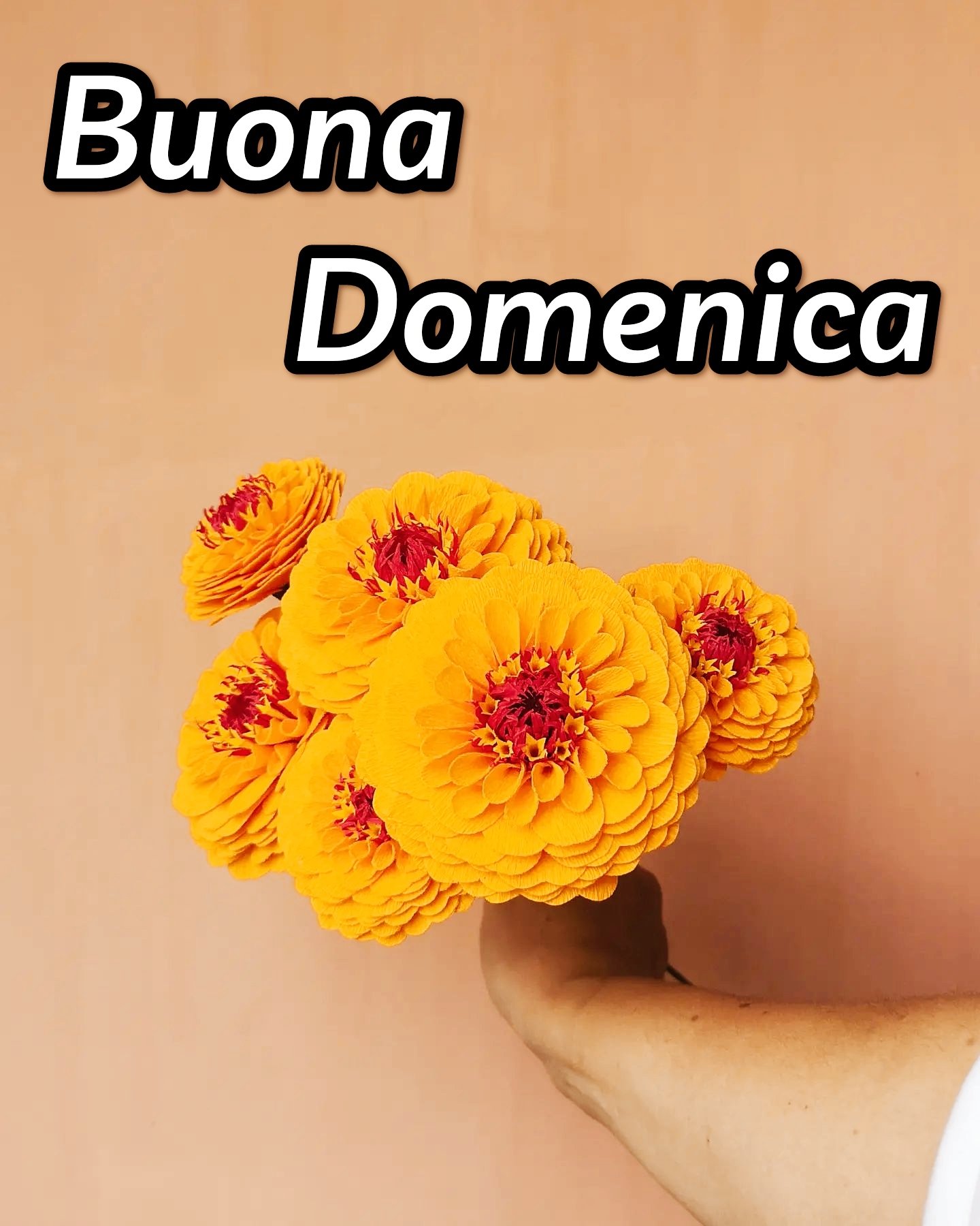 Buongiorno Buona Domenica Immagini Nuove