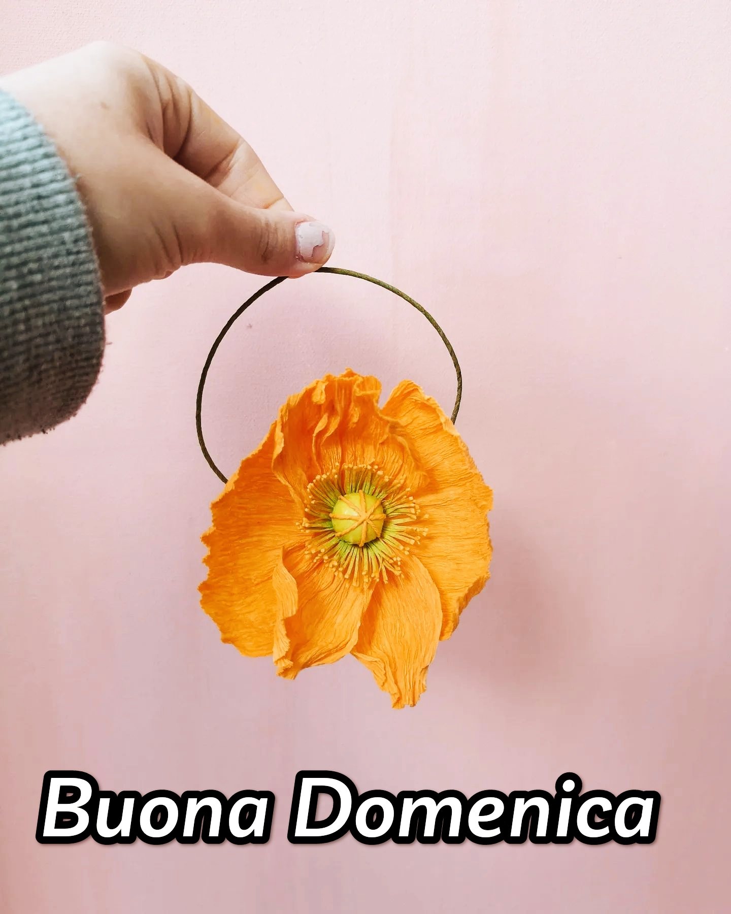 Immagini Buona Domenica Nuove