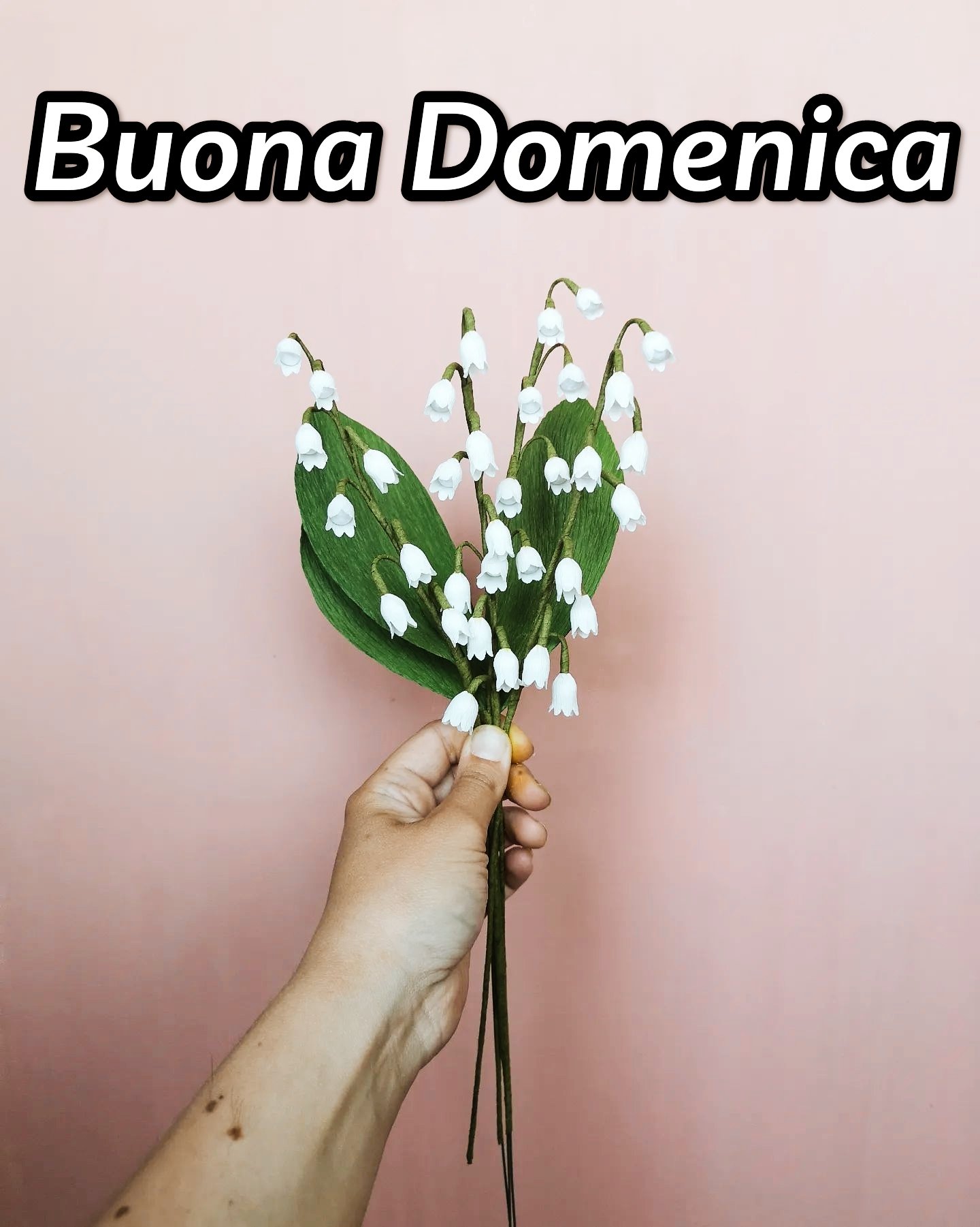 Immagini Di Buona Domenica