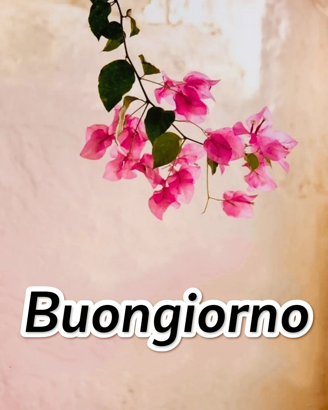 Immagini Semplicemente Buongiorno Nuove Gratis Per Whatsapp