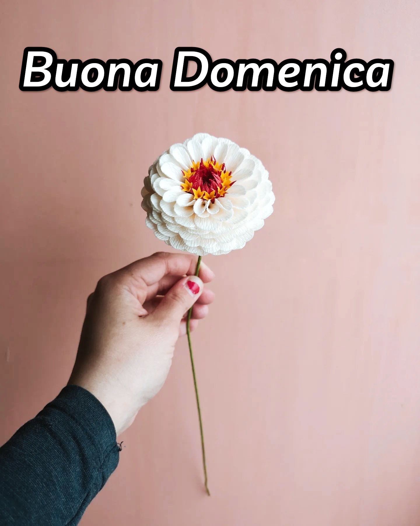 Nuovissimo Buona Domenica Immagini Recenti