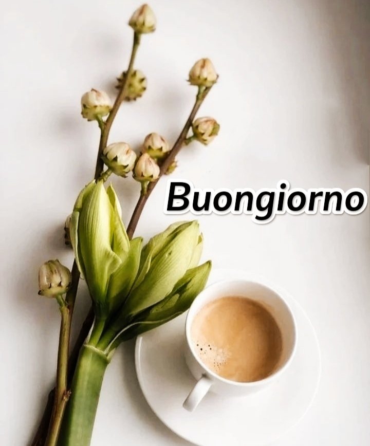 Semplicemente Bello Buongiorno Immagini Nuove