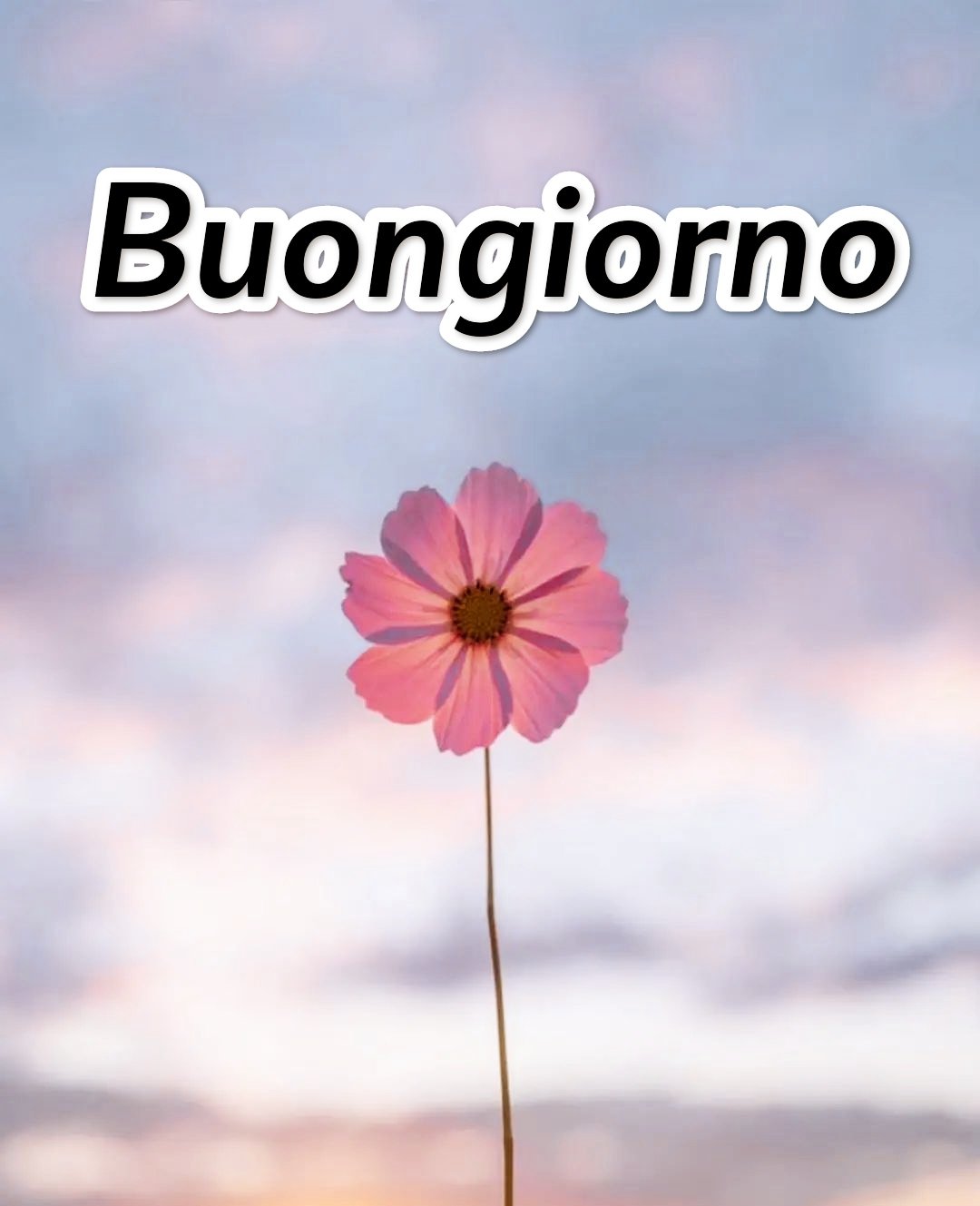 Semplicemente Buongiorno Immagini Nuove