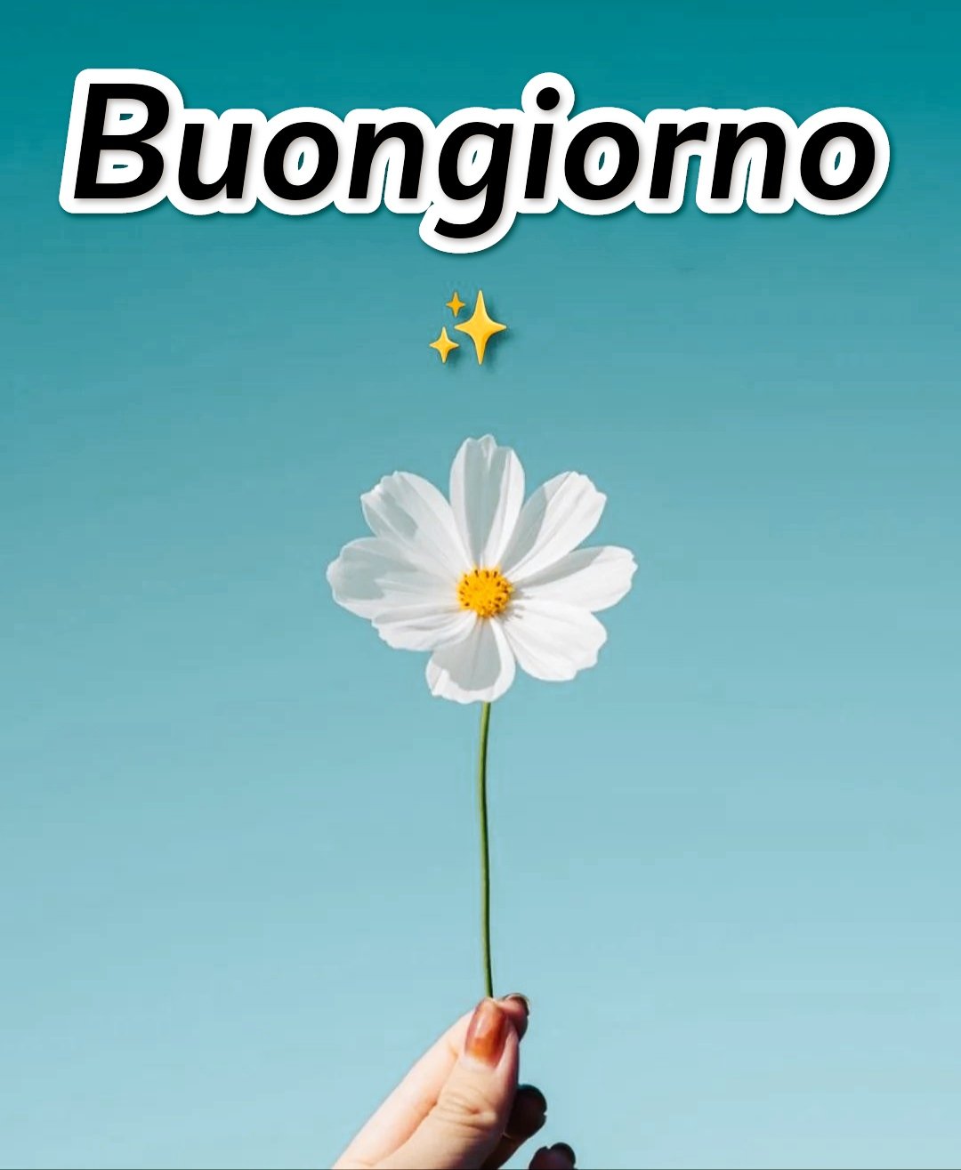 Semplicemente Buongiorno Immagini Nuove Divertenti