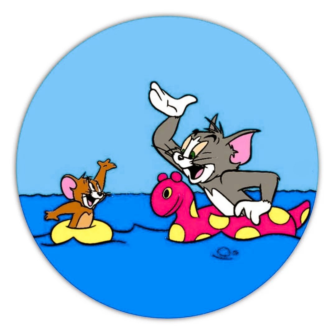 Tom And Jerry DP Pic