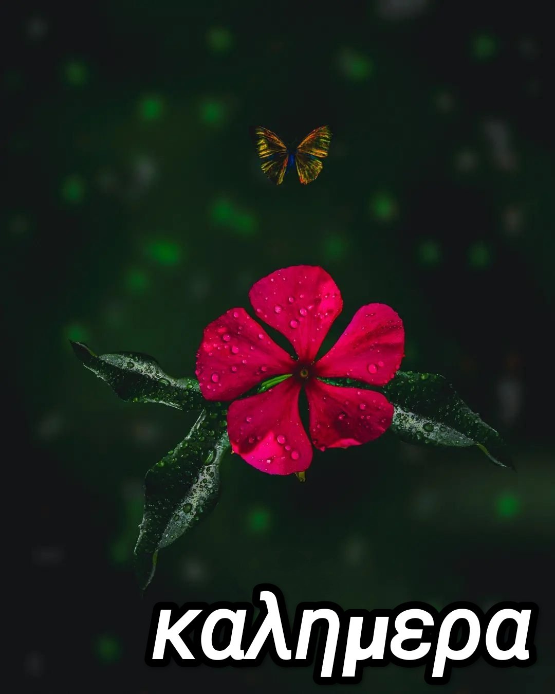 Καλημέρα λήψη εικόνων