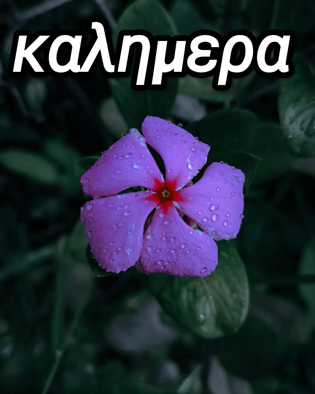 βροχερή καλημέρα εικόνεσ