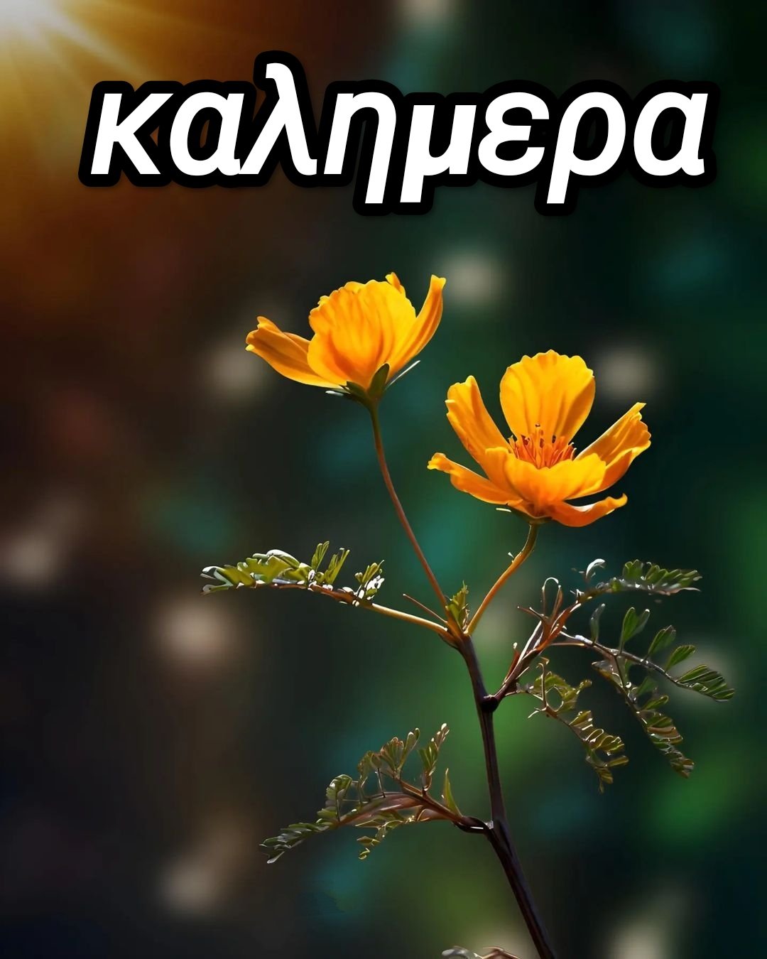 καλημερα εικονες με λογια για ολα τα συναισθηματα
