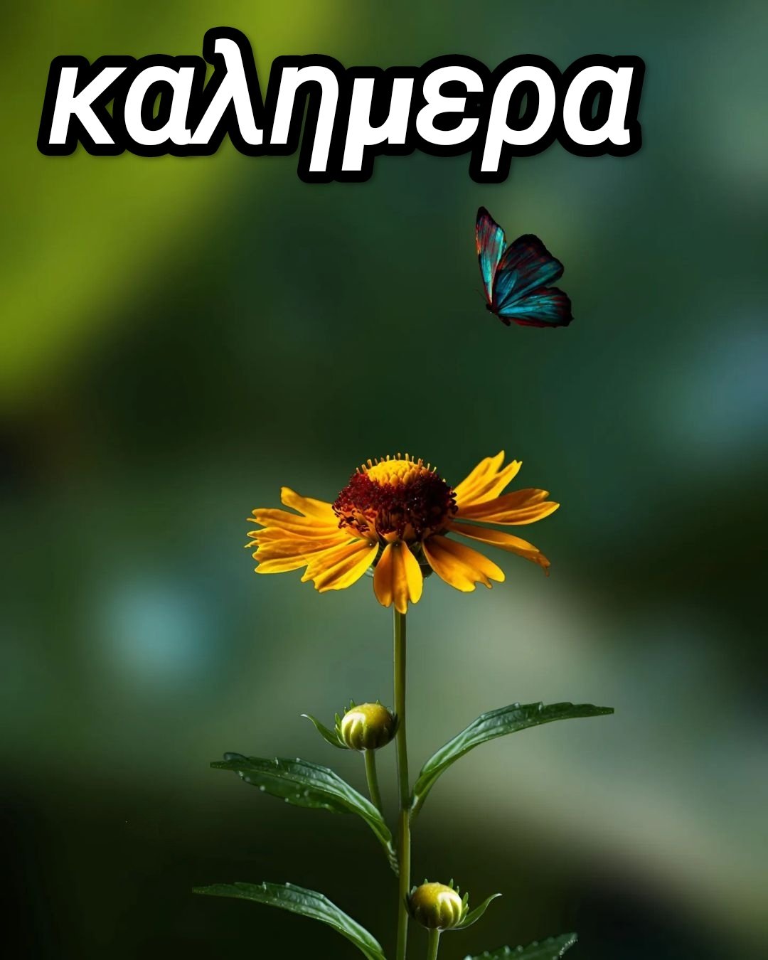 καλημερα εικονεσ με λογια για ολα τα συναισθηματα