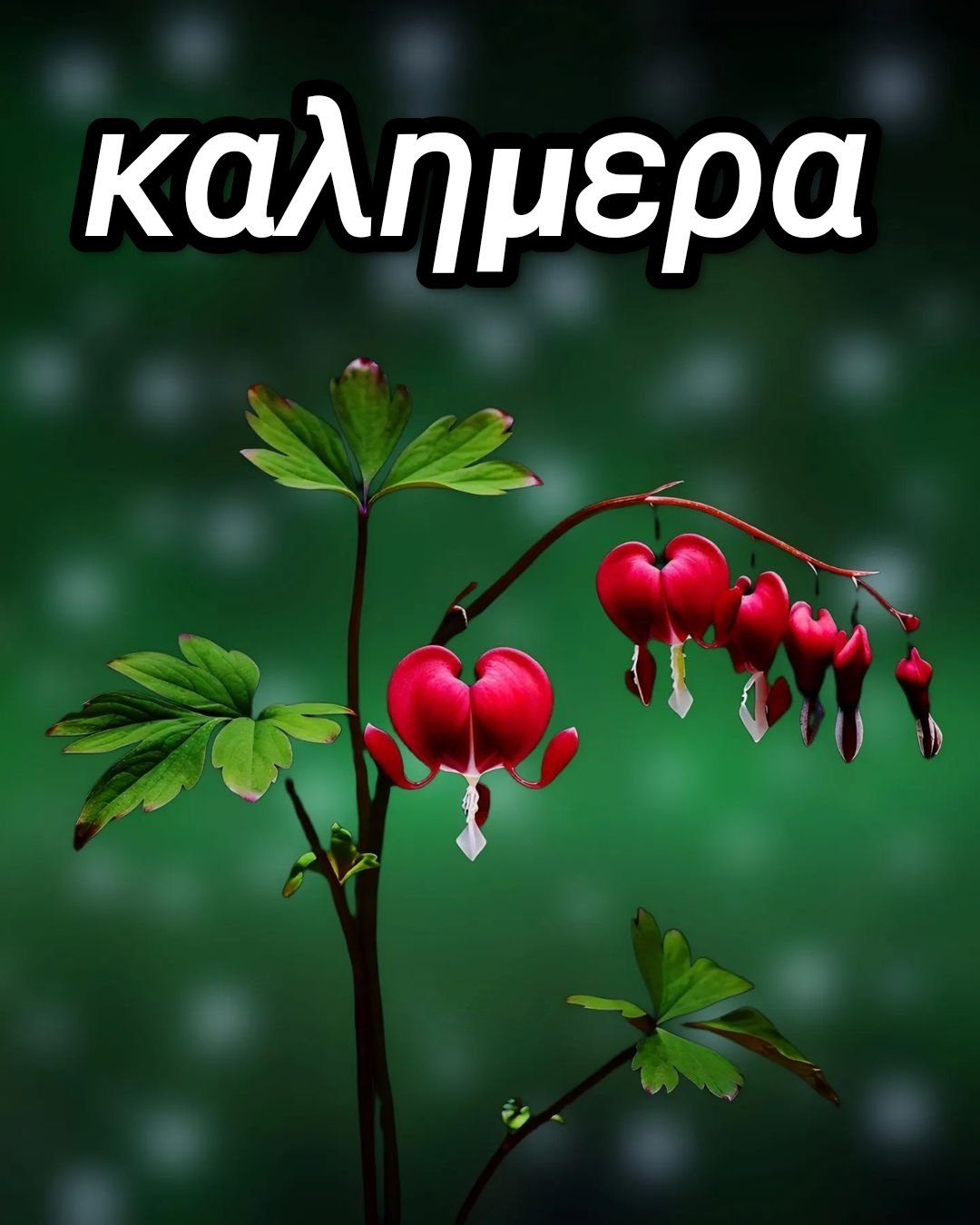 καλοκαιρινη καλημερα εικονες