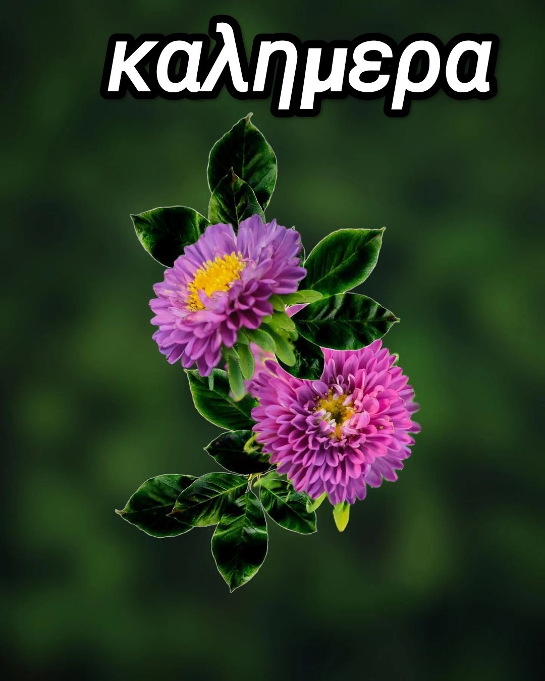 σήμερα ειδικές εικόνες καλημέρας
