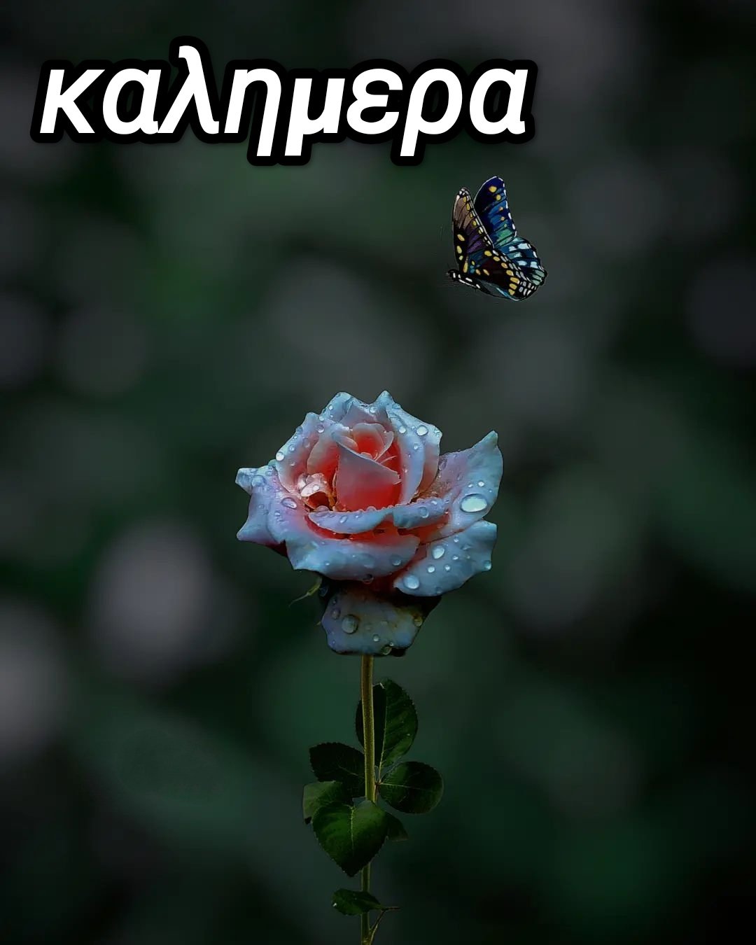χειμωνιατικη καλημερα εικονες