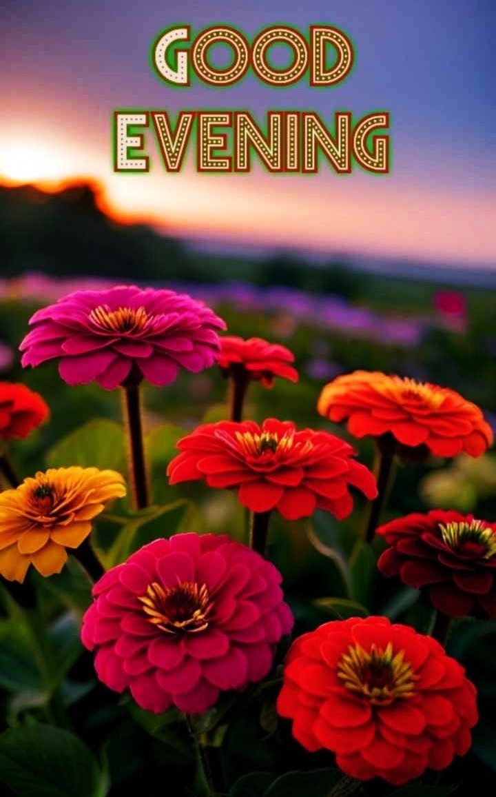 Best 40+ Good Evening Images » Mixing Images
