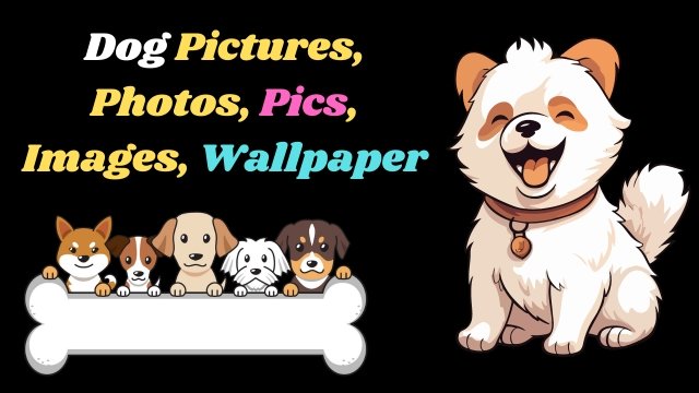 Dog Pictures