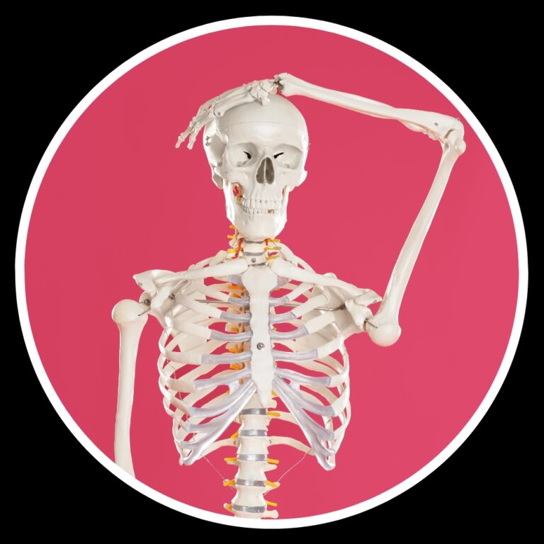Best 20+ Skeleton PFP » Mixing Images