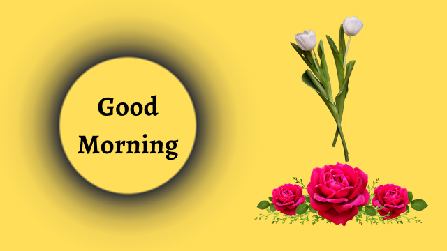 New Beautiful Good Morning Images