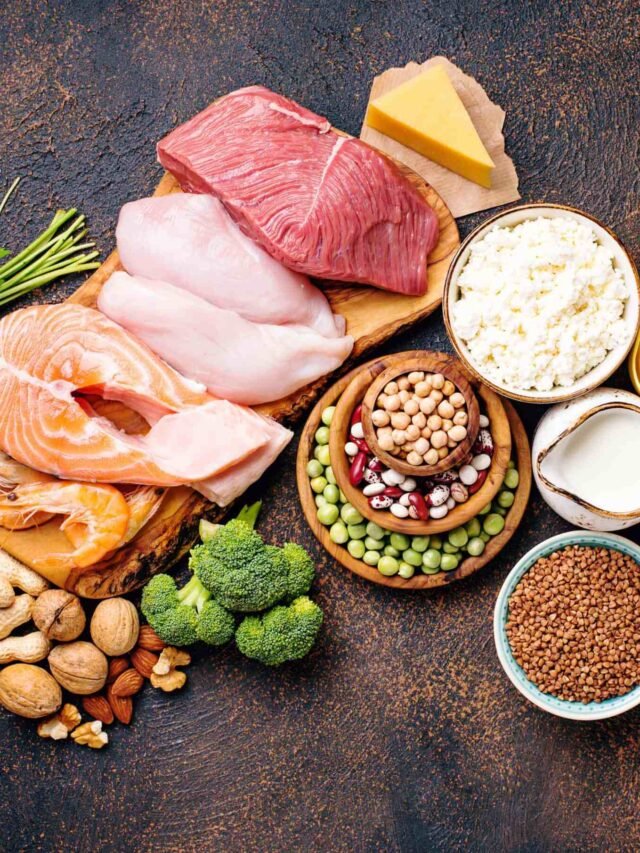 Top 10 High Protein Foods In USA