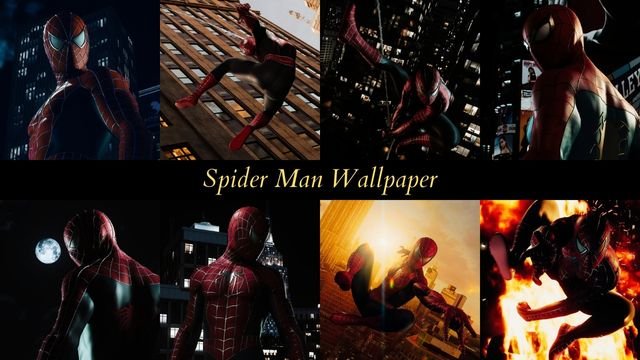 Spider Man Wallpaper