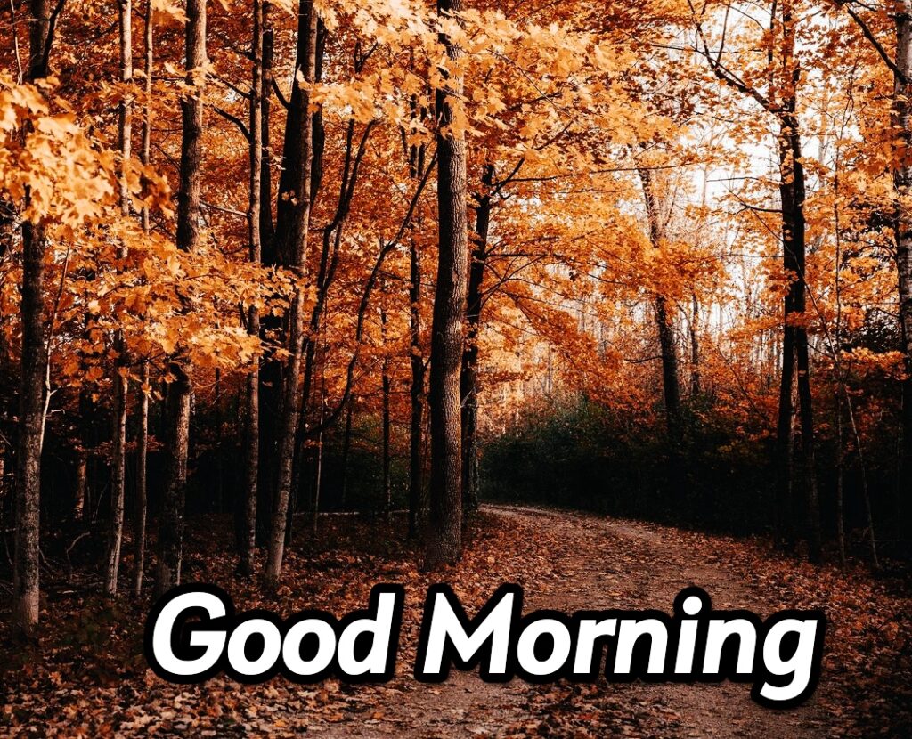 Best 100+ Good Morning Fall Images » Mixing Images