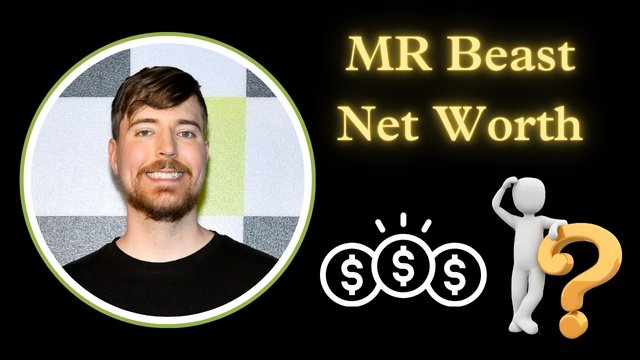 MR Beast Net Worth