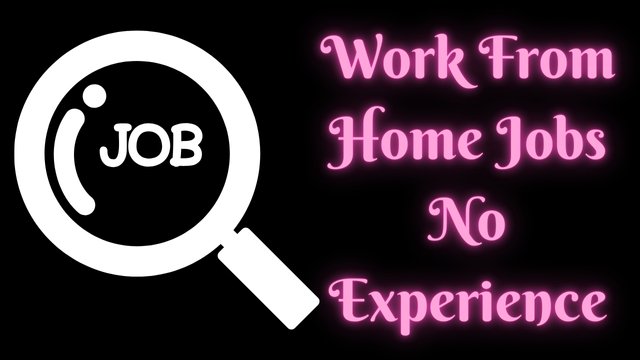 Work From Home Jobs No Experience